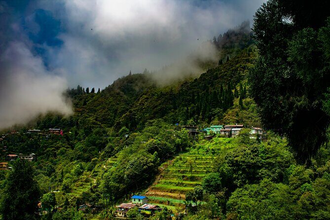 Tiger Hill Darjeeling Nature Walk (3 Hours Guided Trekking Experience) - Tiger Hill feels different when you walk there