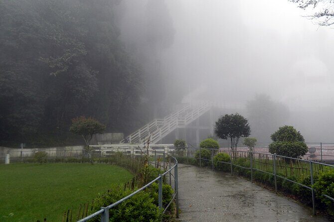 Tiger Hill Darjeeling Nature Walk (3 Hours Guided Trekking Experience) - The guide is the secret sauce: stories + practical tips