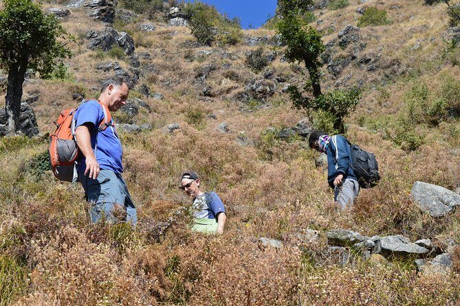 Top Tibba Day Hike and Dhanaulti Visit - Why Top Tibba Works as a One-Day Himalayan Fix