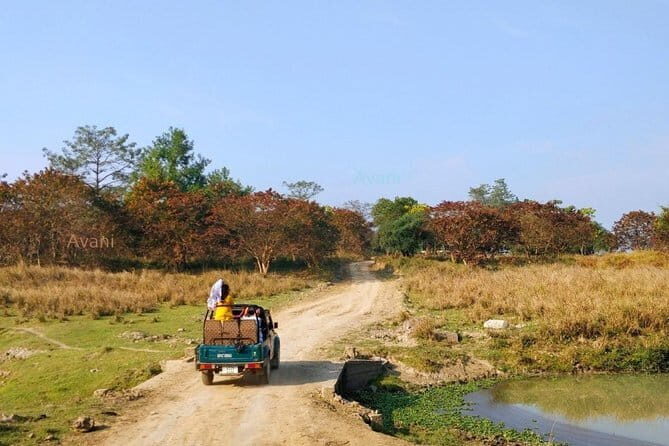 Tour of Pobitora Wildlife Sanctuary from Guwahati with Safari, Lunch and Guide - Why Pobitora Works as a Day Trip from Guwahati