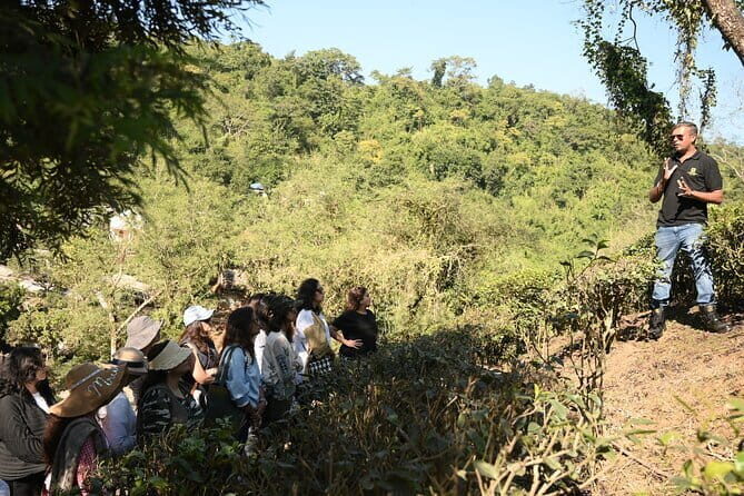 Tour of Pobitora Wildlife Sanctuary from Guwahati with Safari, Lunch and Guide - Lunch Inside the Park: A Break That Keeps the Day Fun
