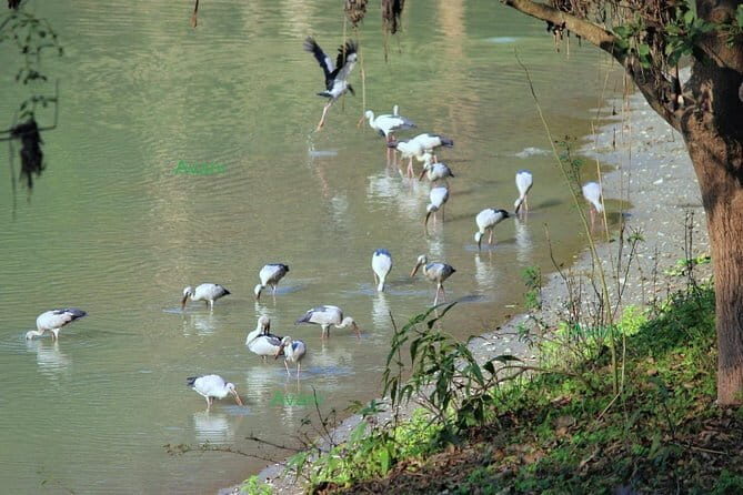 Tour of Pobitora Wildlife Sanctuary from Guwahati with Safari, Lunch and Guide - Price and Value: Is $220 Worth It?