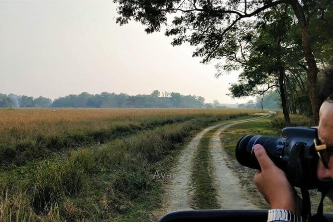 Tour of Pobitora Wildlife Sanctuary from Guwahati with Safari, Lunch and Guide - The 2-Hour Jeep Safari: How You Actually Spot Rhino and Buffalo