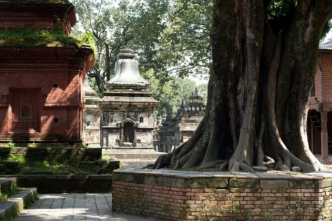 Tour of the Villages of Varanasi (Guided Sightseeing Tour by Car) - Chiraigaon and the house of Chiraigu: everyday village livelihood
