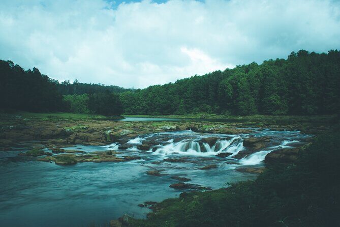 Touristic Highlights of Ooty (Guided Full Day City Sightseeing Tour by Car) - Key things that make this Ooty car tour worth your time
