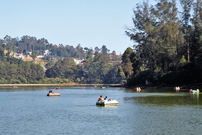 Touristic Highlights of Ooty (Guided Full Day City Sightseeing Tour by Car) - Government Rose Garden: 3,600 rose varieties take up about an hour