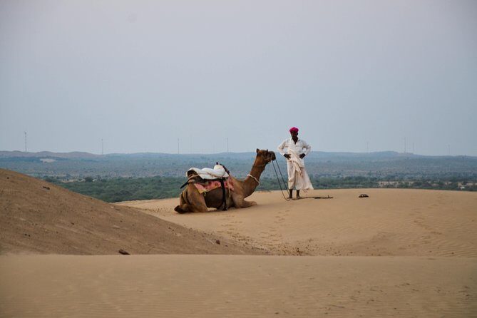 Traditional Desert Experience - Key Highlights You’ll Care About