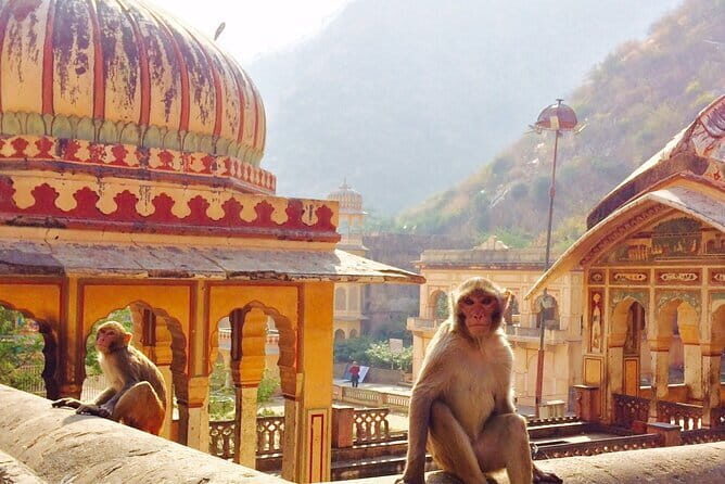 Travel Through the Streets of Jaipur by Tuktuk with a Local - Jaipur by tuktuk: why this route works