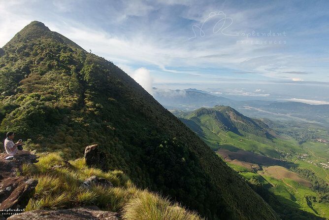 Trekking in Munnar - Starting at 1450m: tea fields warm up your legs
