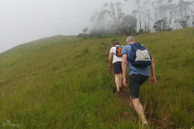 Trekking in Munnar - Anaimudi on a clear day: why the ridge matters