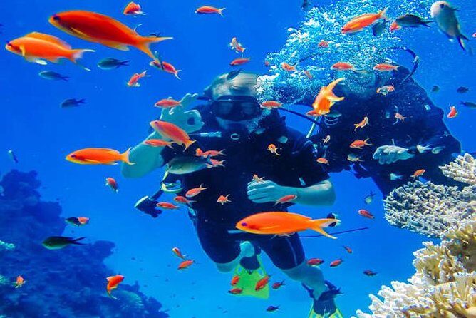 Try Scuba Diving In Havlock - The 30-minute flow: from meeting point to gear and water