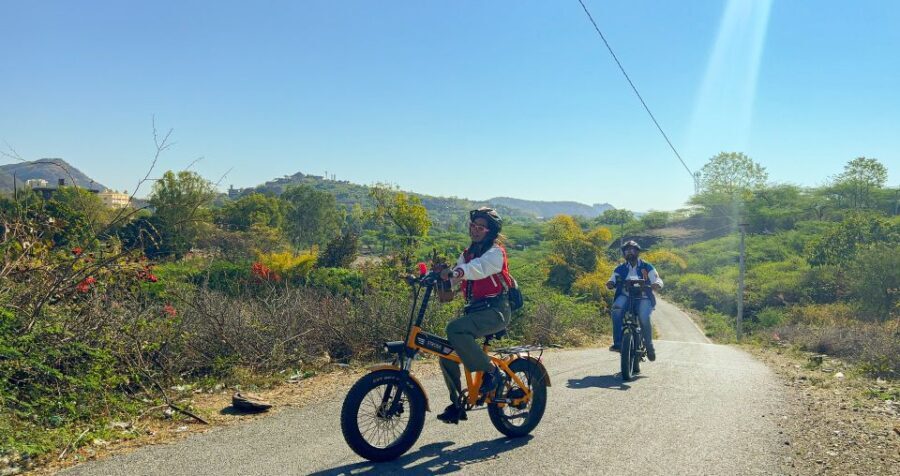 Udaipur: Off-the-Beaten Path Guided E-Bike Tour - Who Should Book This, and Who Might Prefer a Different Plan