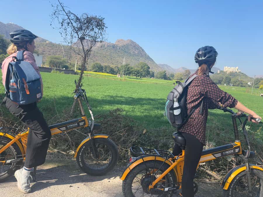 Udaipur: Off-the-Beaten Path Guided E-Bike Tour - Saheliyon Ki Bari: Domed Fountains, Cenatops, and Real Garden Time