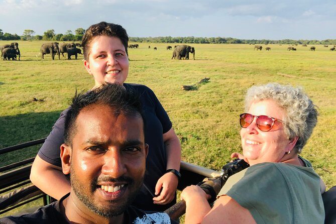 Udawalawa National Park Safari Day Tour - The Udawalawa jeep safari: elephants and birds for 3–4 hours