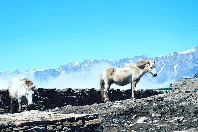 Unique Shimla and Manali tour - Day 1: Delhi to Shimla, then check-in and a night in the hills