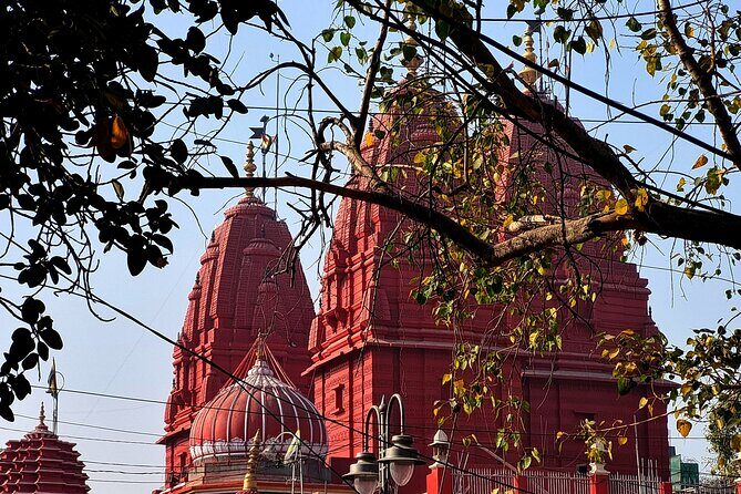 Unlock Delhi's Secrets: Food and Photography Full Day Tour - Food You’ll Actually Remember: Chaat, Fried Bread, and Crisp Snacks