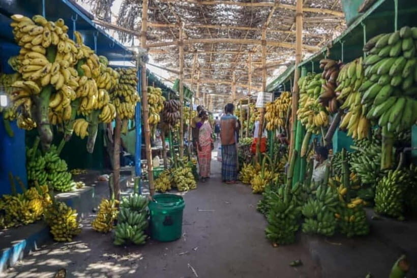 Vannakam Madurai - Explore Madurai like a local - Who this tour suits best (and who should skip it)