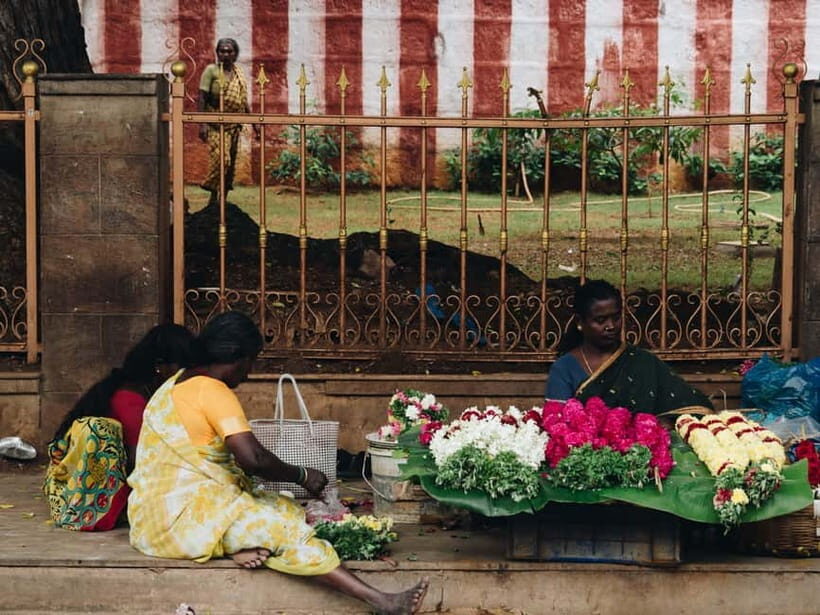Vannakam Madurai - Explore Madurai like a local - Cow milking with local farmers: Rural practice, real context
