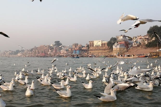 Varanasi 2 Days Tour with Expert Tour Guide - Day 2: pre-dawn Dashashwamedh pickup, sunrise walks, and the ghats waking up
