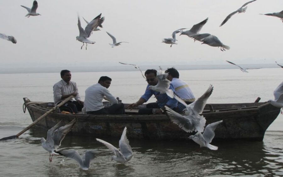 Varanasi: Sunrise Boat Ride w/ Ghats & Morning Rituals - Key points to know before you go