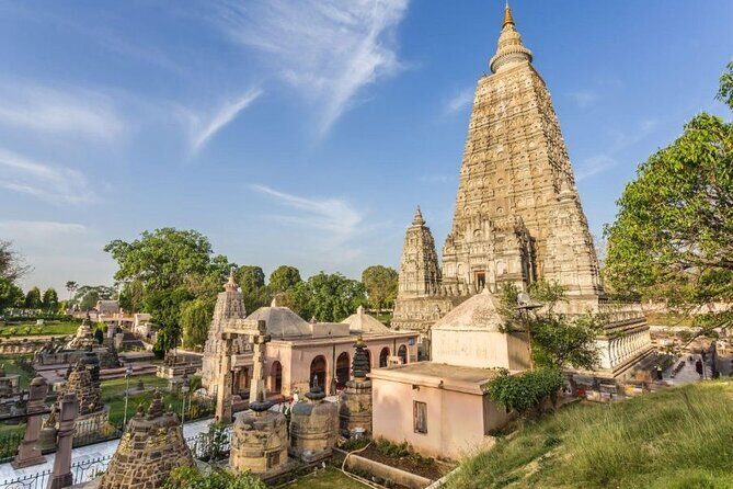Varanasi to Bodhgaya: A Day of Spiritual Exploration - Mahabodhi Tree: why this stop is the heart of the trip