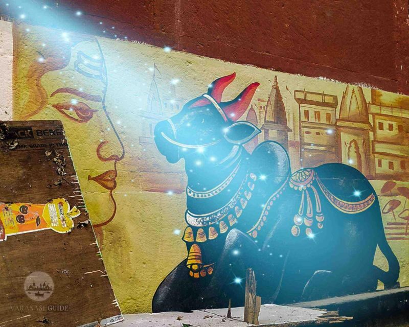 Varanasi Walking and Heritage Tour - The Walk Into Shri Kashi Vishwanath Temple Corridor
