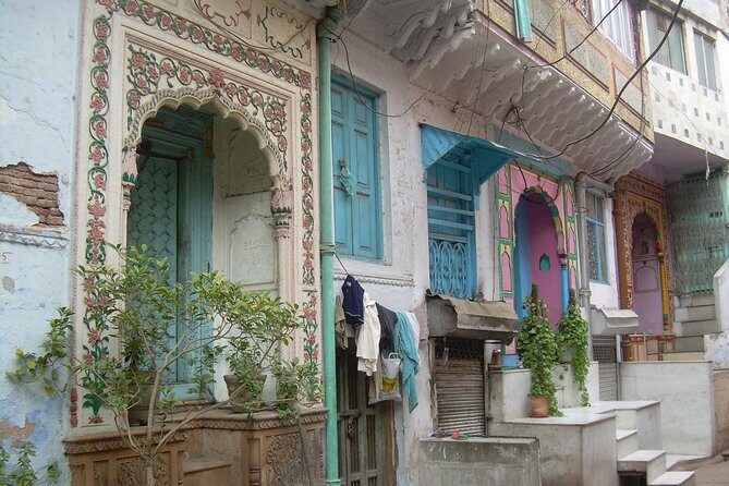 Vegan Food and walking tour in Delhi - FAQ