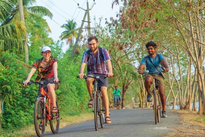 Village Bike Tour & Birdwatching - Ferry to Changaram Wetland: add water movement to your birdwatching