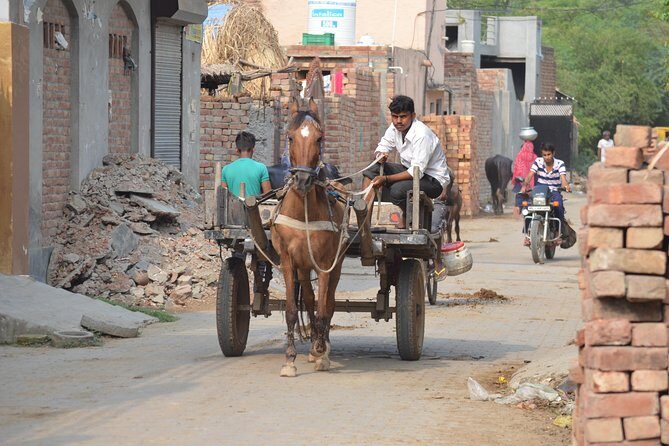 Village Snapshot - Pure and simple - Leaving Delhi by Train, Then Living the Farming Day in Sonipat
