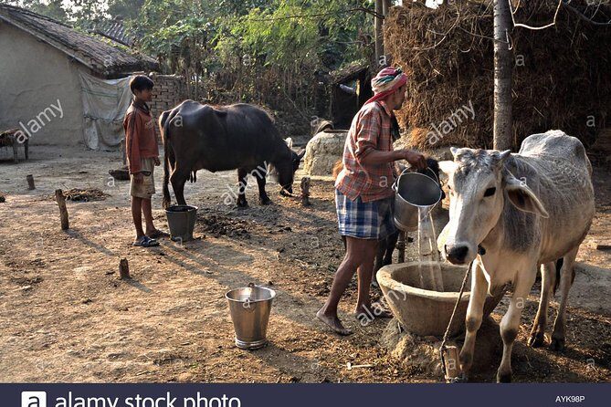 Village Tour - Key things that make this village tour worth your time