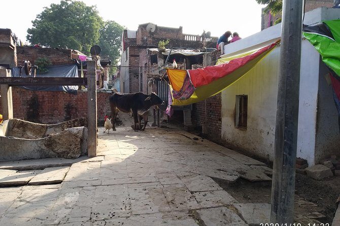 Village Tour - Plan for river travel time (it can affect the village hours)