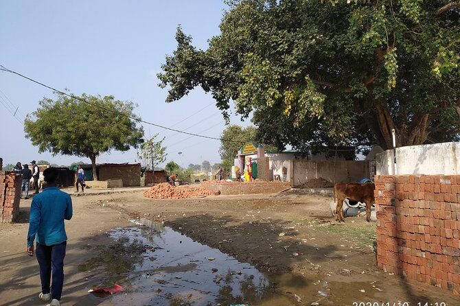 Village Tour - Value for $42.87: what’s included, and what you’re not paying for