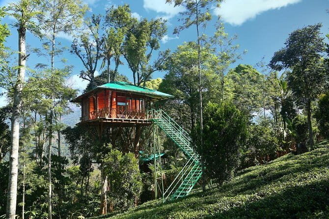 Village Walking Tour and Bird Watching - Who should book this Kochi bird and village walk?