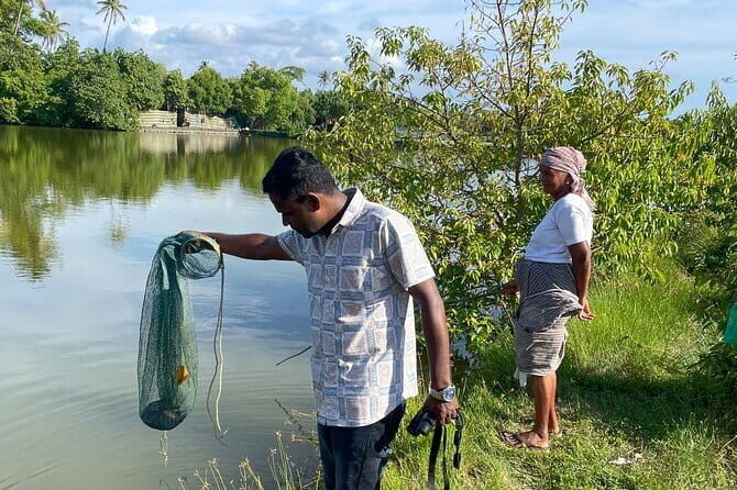 Village Walking Tour and Bird Watching - Weather and practical expectations (so the day stays fun)