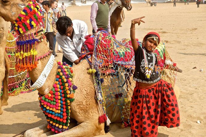 Visit Rajasthan Popular Places With Taj Mahal - What a 6-day format feels like on the ground