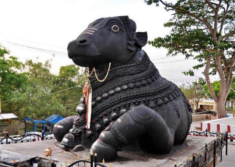 Walk of Divinity Bangalore (2 hours guided walking tour) - What you’re really buying with a 2-hour temple walk