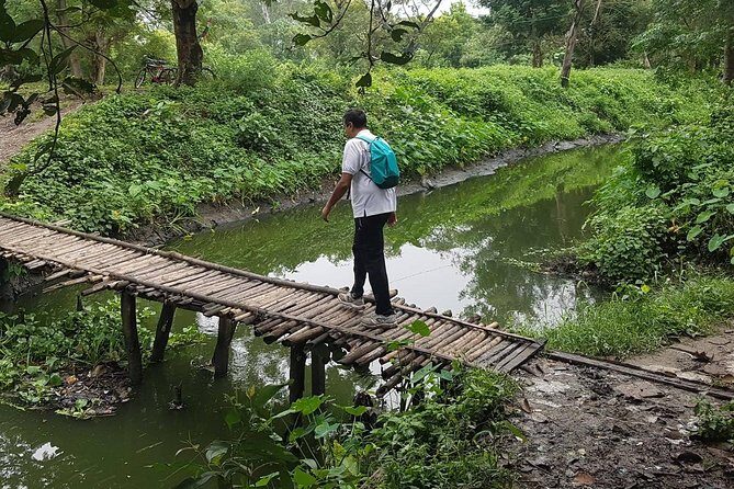 Walk the Kolkata Wetlands: Green Eye Candy - A private walking escape into Kolkata’s eastern wetlands