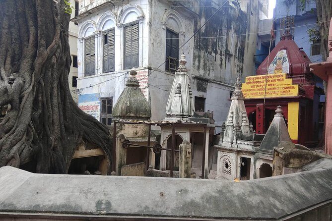Walking Tour - Meeting Point at Kashi Chat Bhandar: Getting Oriented Fast
