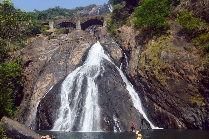 Waterfall & Plantation - Dudhsagar Falls: Sea of Milk drama you can actually feel