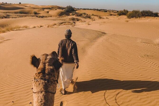 Wild Desert Overnight Safari - Day 1 in the desert: jeep safari, Kuldhara ghost village, then camp