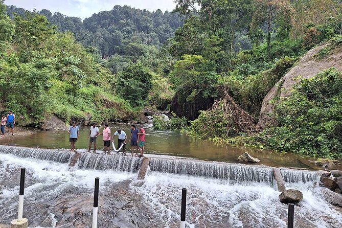 Wild Elephant Anakulam & Waterfalls Tour(munnar valley Trekking) - Mankulam Hanging Bridge and Tiger Cave: short stops, big mood
