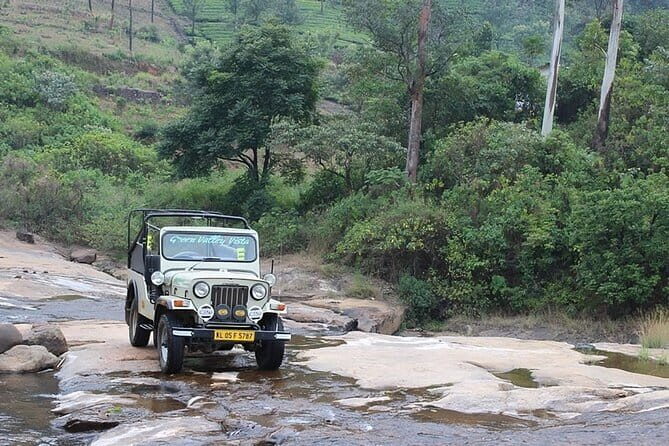 Wild Life Anakulam Jeep Safari - The Anakulam elephant viewpoint is the whole point
