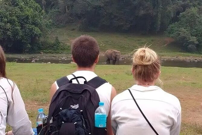 Wild Life Anakulam Jeep Safari - Lekshmi tea gardens: a short start that sets the mood