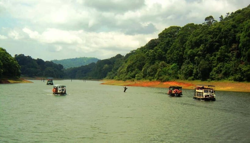 Wilderness & Culture: One Day Tour of Thekkady with Jeep !! - Spice plantation tour: how cardamom and pepper actually grow