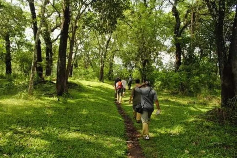 Wilderness & Culture: One Day Tour of Thekkady with Jeep !! - Periyar Lake boat ride: calmer nature, shared boat dynamics
