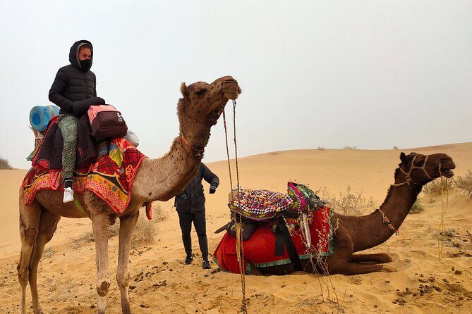 Wonderlust Desert & Camel Safari with Rumi Caravan of Thar Desert - Camelback riding in rolling dunes: 45 minutes at sunset, then again in the morning