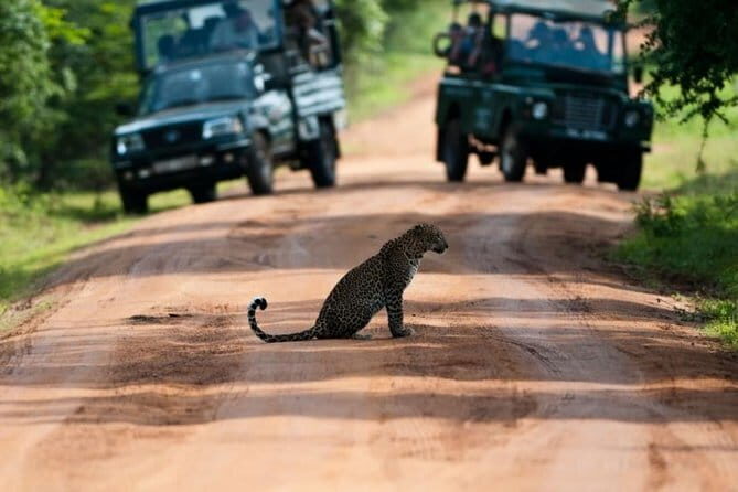 Yala National Park (Day Tour) - Hotel pickup and the comfort factor that helps on safari