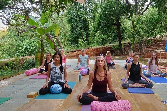 Yin Yoga Therapy Training - 200 Hours (Yoga Alliance) - Jungle shala sessions and beach-side recovery time