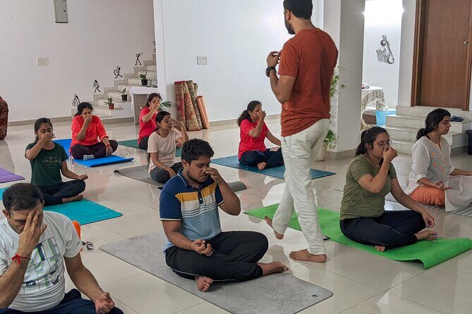 Yoga in Jaipur with Amit (Yogi on Travel) - The park setting and why it matters in Jaipur